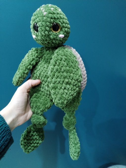 Tortue knot