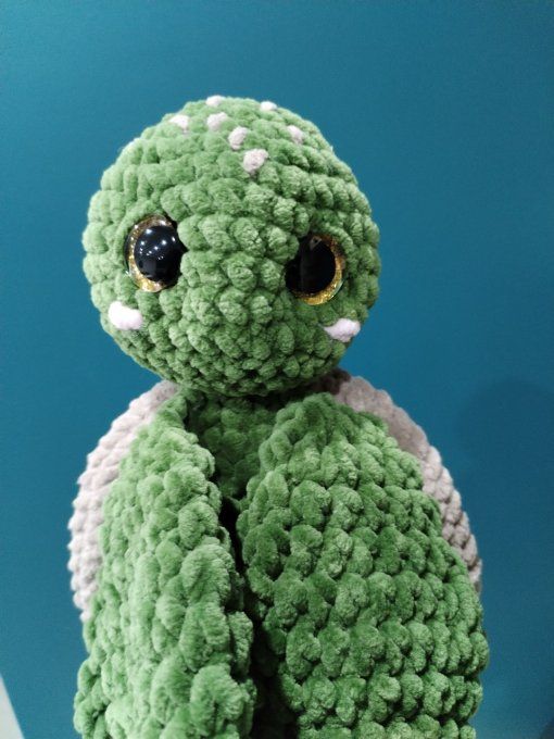 Tortue knot