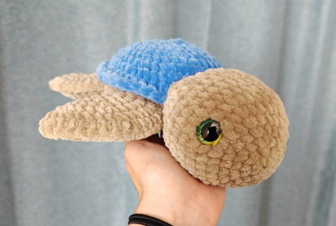 Tortue moyenne