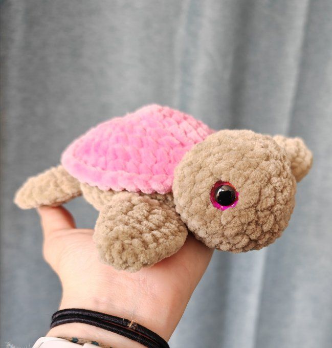 Petite tortue 