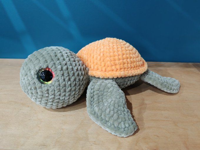 Grande tortue 