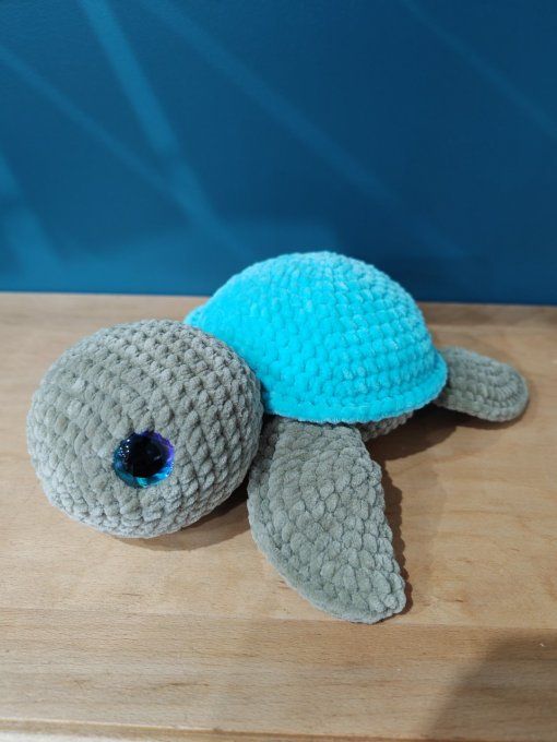 Grande tortue 