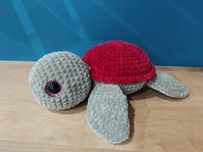 Grande tortue 