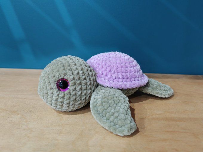 Tortue moyenne