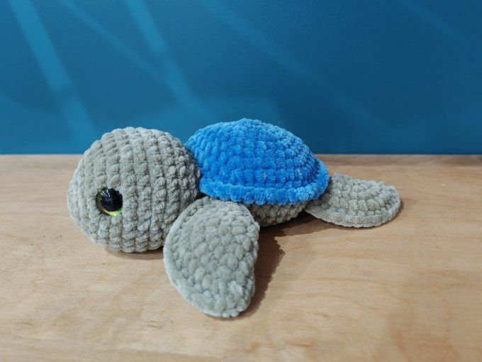 Tortue moyenne