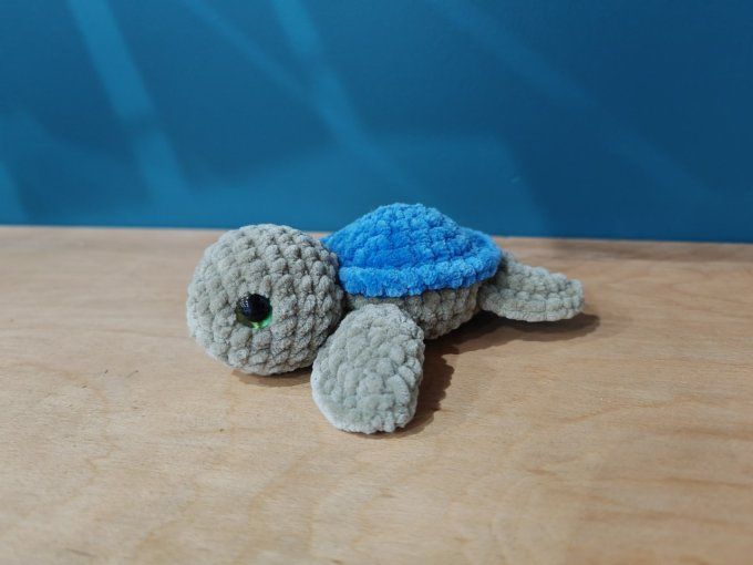 Petite tortue 