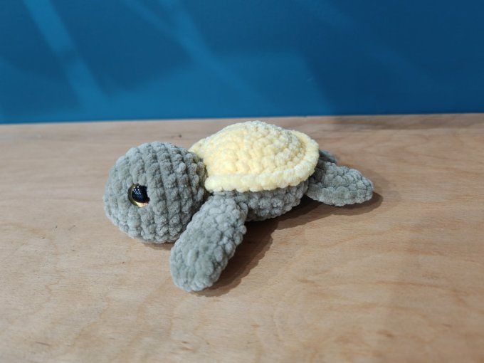 Petite tortue 