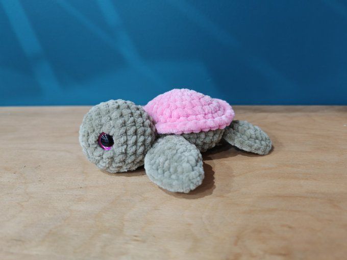 Petite tortue 