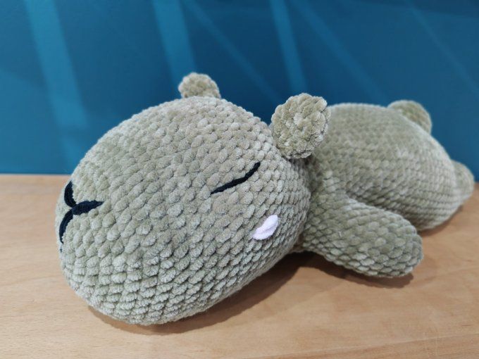 Capybara endormi 